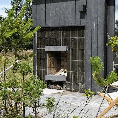 Untamed Nature And Stars In Tversted By Sea * Bindslev